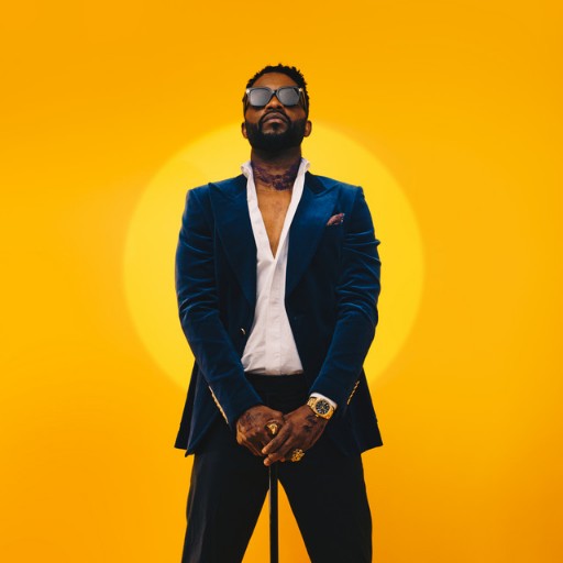 Fally Ipupa Seattle Tickets