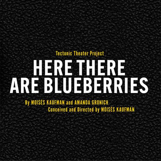 Here There Are Blueberries Seattle Tickets