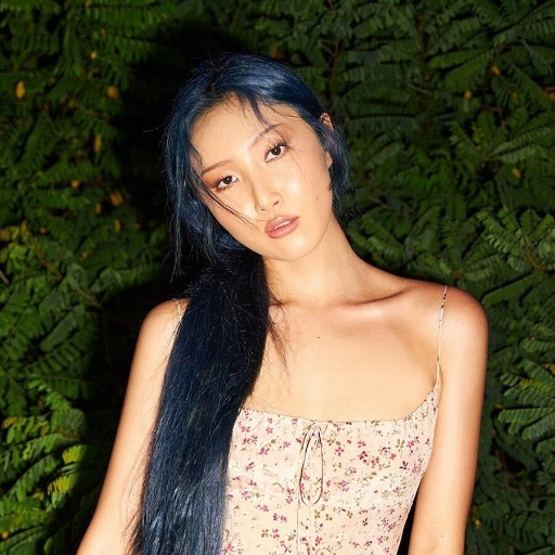 HWASA in Seattle
