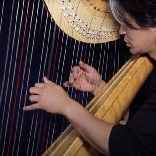 Open Harp Workshop Seattle Tickets