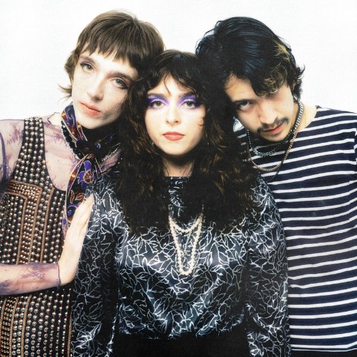 The Velveteers in Seattle