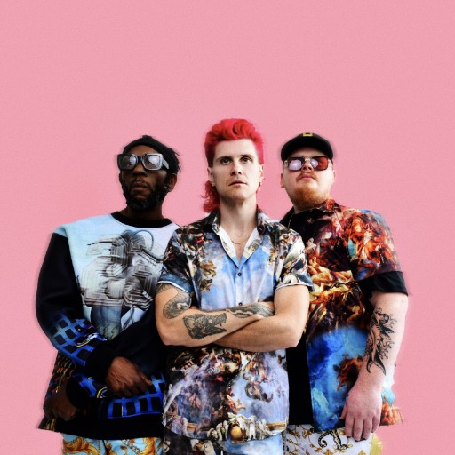 Too Many Zooz Concerts in Seattle